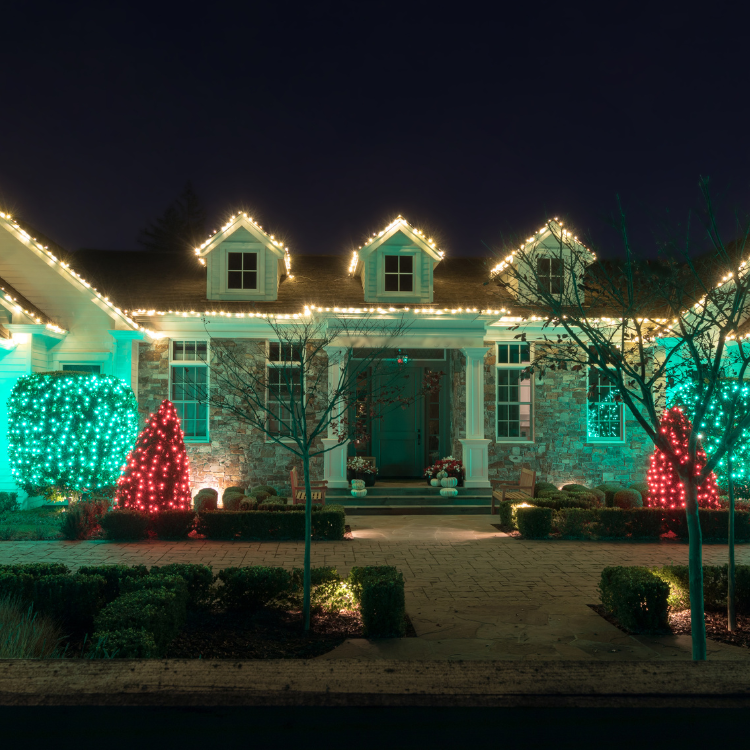 Christmas Lighting (6)
